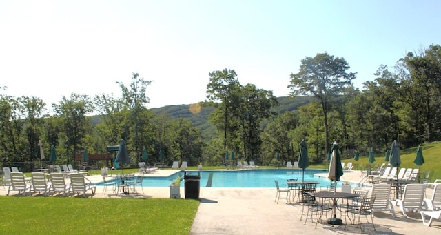 376 Linden Ct Unit 376, Tannersville, PA 18372 - community pool with a patio area and a yard