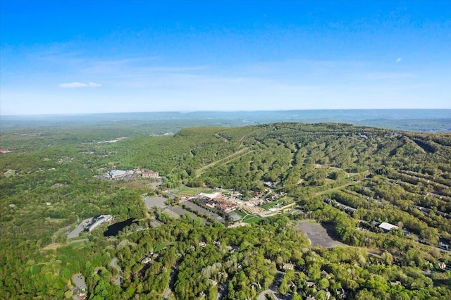 376 Linden Ct Unit 376, Tannersville, PA 18372 - aerial overview of property's location with a forest