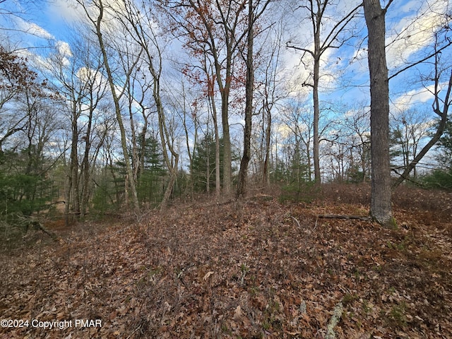3 Bond Ct, Milford, PA 18337 - photo 4