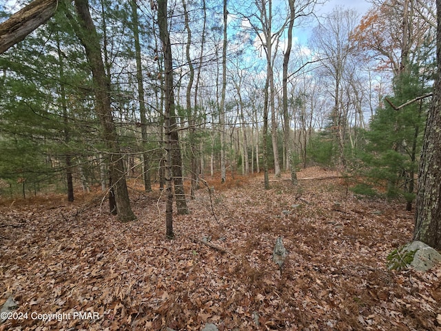 3 Bond Ct, Milford, PA 18337 - photo 6