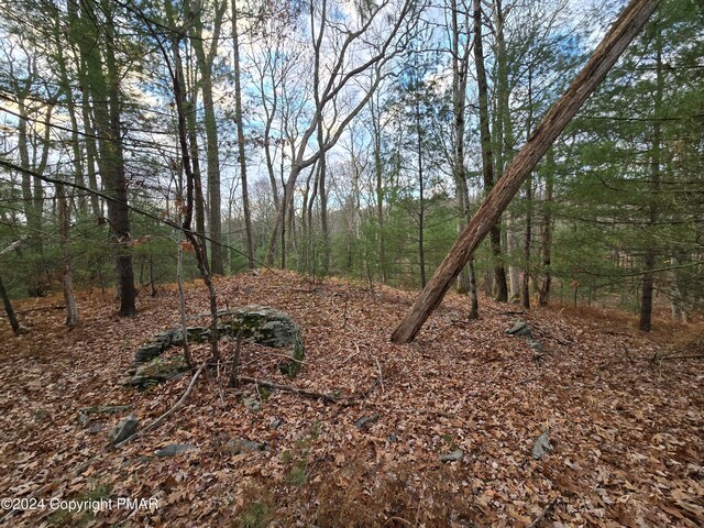 3 Bond Ct, Milford, PA 18337 - photo 7