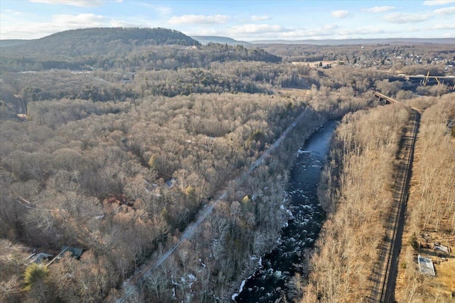 birds eye view of property featuring a mountain view and a view of trees