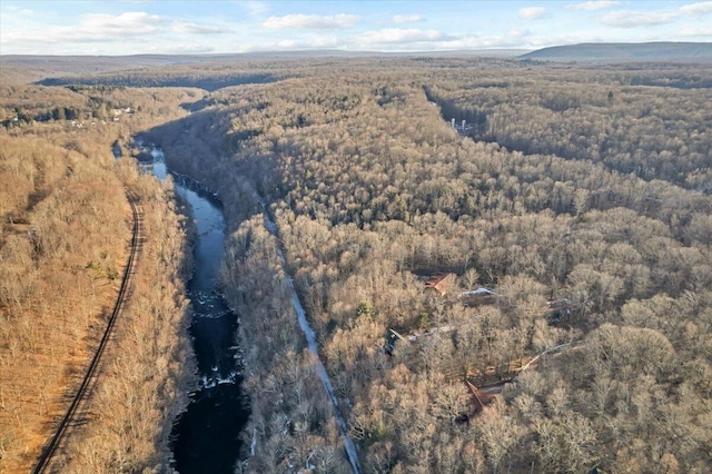 bird's eye view with a wooded view and a mountain view