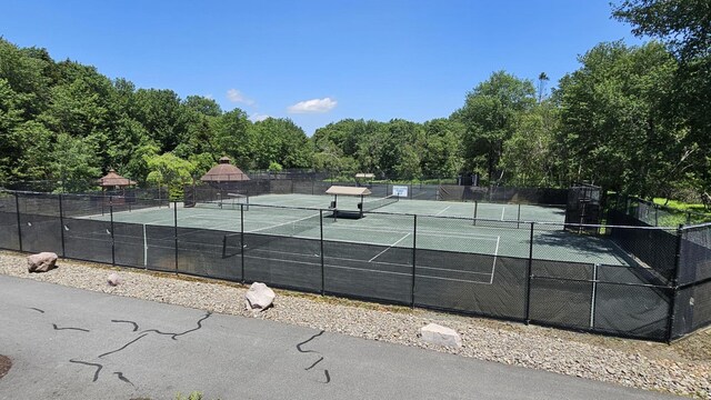 139 Conestoga Trl, Pocono Pines, PA 18350 - photo 45