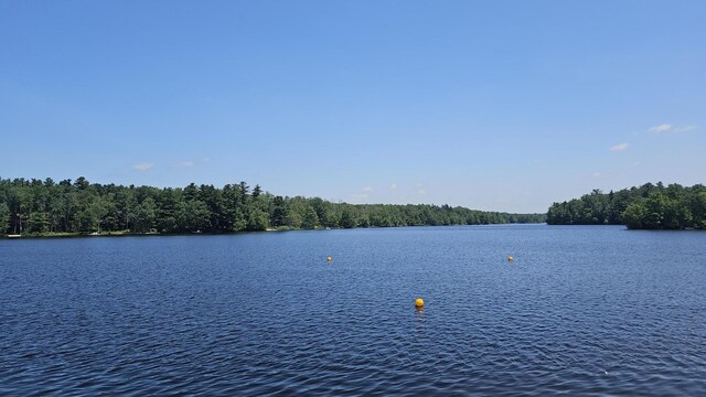 139 Conestoga Trl, Pocono Pines, PA 18350 - photo 47