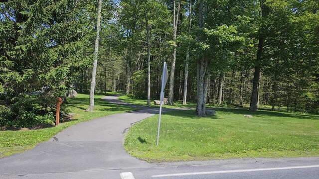 139 Conestoga Trl, Pocono Pines, PA 18350 - photo 61