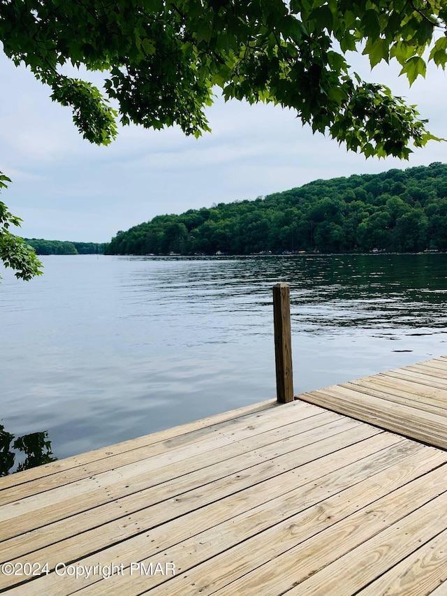 133 N Eastwood Dr, Greentown, PA 18426 - view of dock featuring a wooded view and a water view