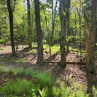 29 Old Silver Mine Trl, Gouldsboro, PA 18424