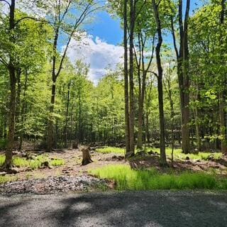 29 Old Silver Mine Trl, Gouldsboro, PA 18424