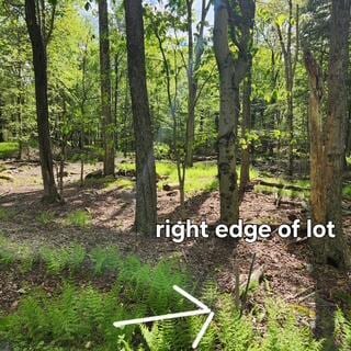 29 Old Silver Mine Trl, Gouldsboro, PA 18424