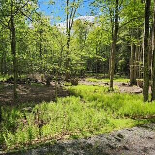 29 Old Silver Mine Trl, Gouldsboro, PA 18424