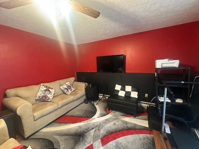 living room featuring a textured ceiling