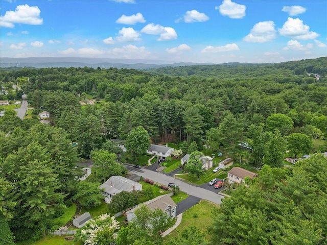 838 Cayuga Way, Stroudsburg, PA 18360 - drone / aerial view of a forest
