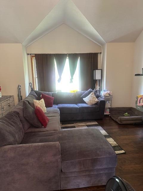 living area featuring lofted ceiling and wood finished floors
