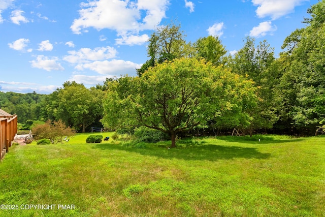 2247 Reo Dr, Effort, PA 18330 - view of grassy yard with a forest view