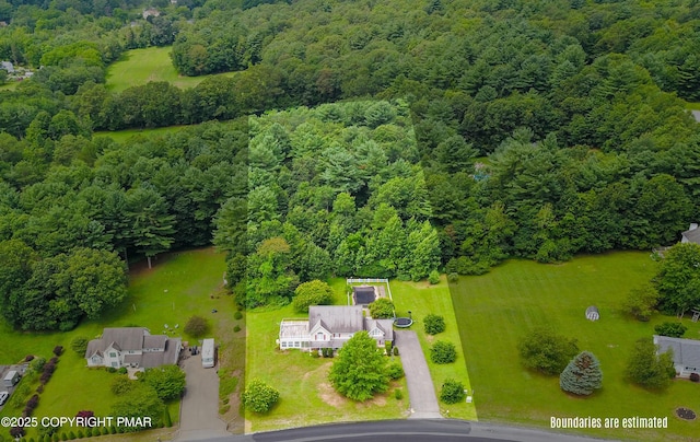 2247 Reo Dr, Effort, PA 18330 - bird's eye view of a forest