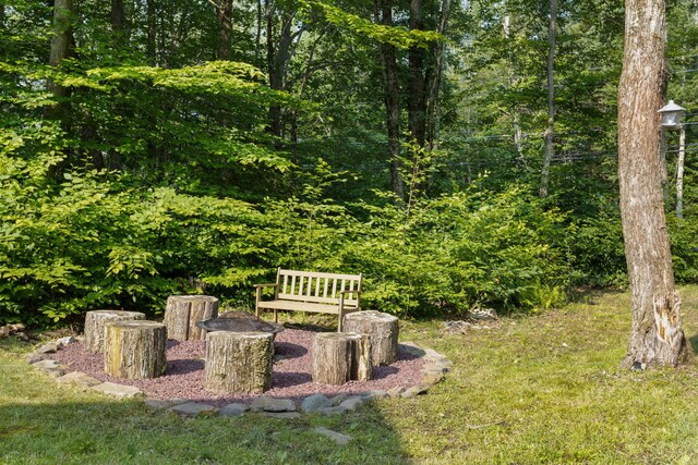 1735 Lake Ln, Pocono Lake, PA 18347 - photo 26