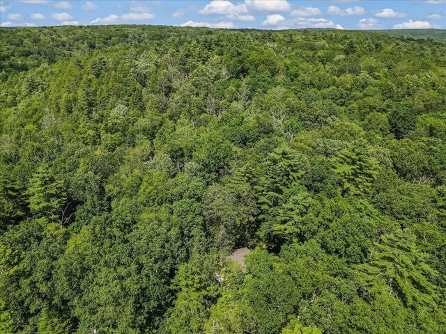 169 Sportsmen Dr, Cresco, PA 18326 - photo 54