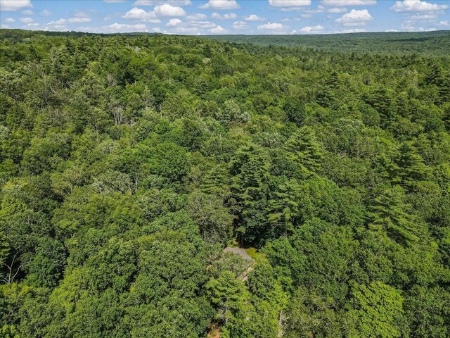 169 Sportsmen Dr, Cresco, PA 18326 - photo 56