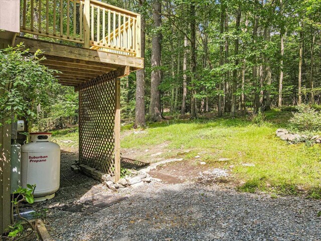 169 Sportsmen Dr, Cresco, PA 18326 - photo 52