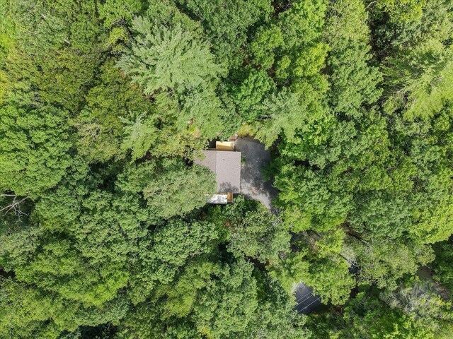 169 Sportsmen Dr, Cresco, PA 18326 - photo 55