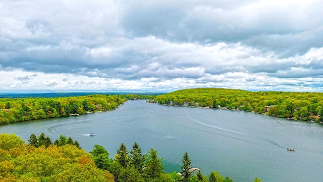 65 Maplewood Rd, Lake Harmony, PA 18624 - water view with a heavily wooded area