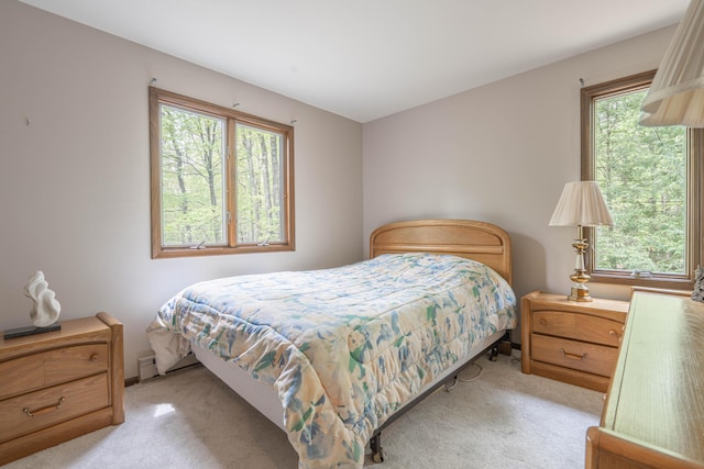 65 Maplewood Rd, Lake Harmony, PA 18624 - bedroom featuring light colored carpet