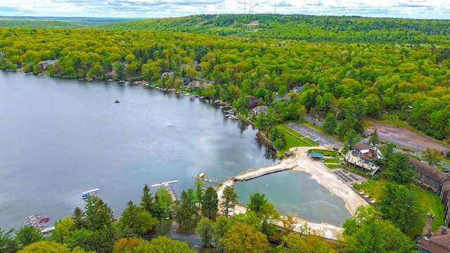 65 Maplewood Rd, Lake Harmony, PA 18624 - aerial view of a heavily wooded area and a large body of water