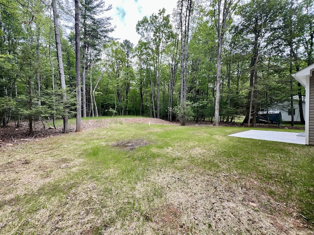 236 Hawthorn Ln, Kunkletown, PA 18058 - photo 27