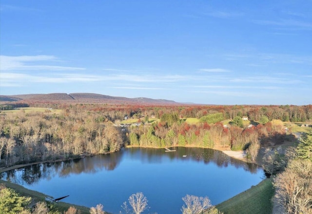 236 Hawthorn Ln, Kunkletown, PA 18058 - photo 31