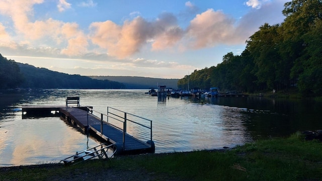 dock area featuring a wooded view and a water view
