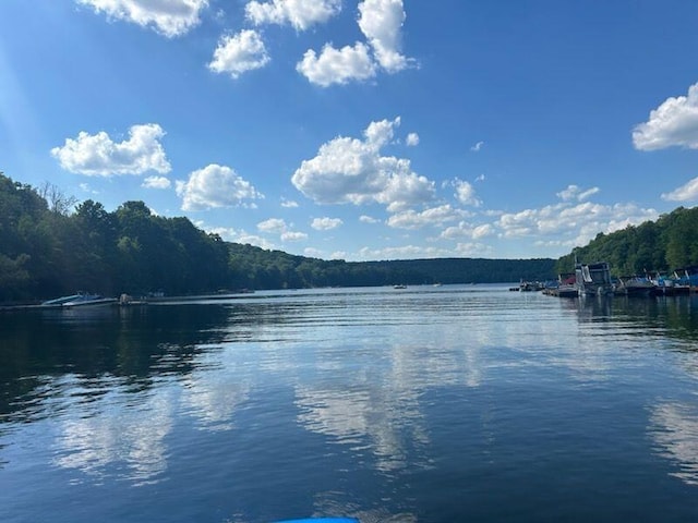 water view with a forest view