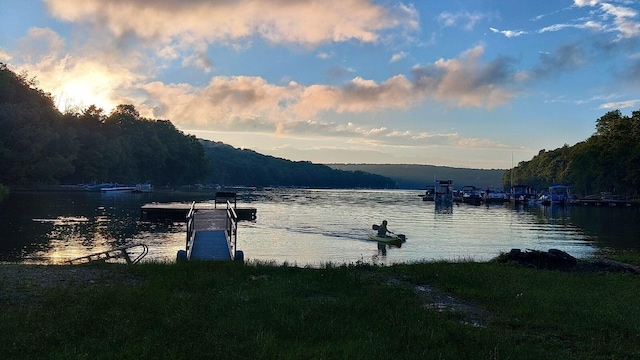 view of water feature with a dock