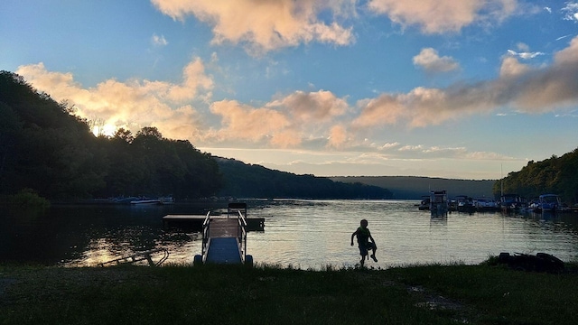 property view of water featuring a boat dock