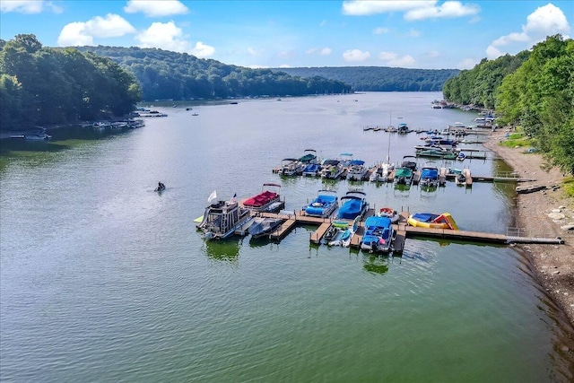 water view with a wooded view and a floating dock
