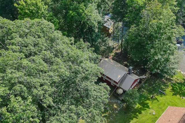 drone / aerial view