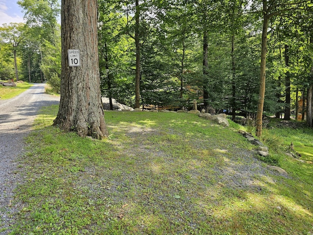 view of yard with a forest view