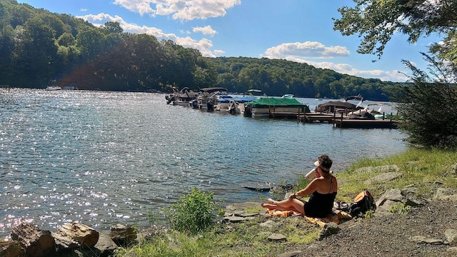 water view featuring a forest view and a boat dock