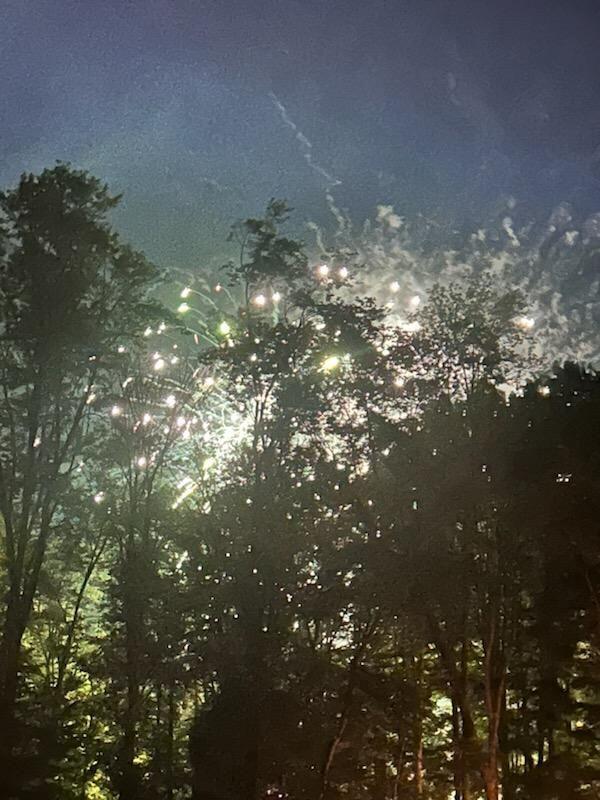 view of nature