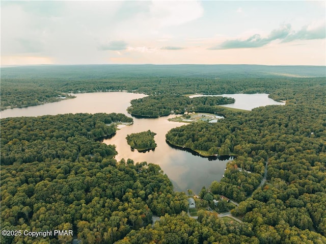 aerial view featuring a view of trees and a water view