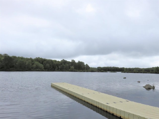 LOT2214 Cardinal Dr, Clifton Township, PA 18424 - photo 22