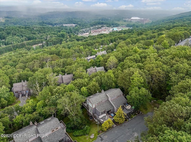 268 Big Pocono Pass, Tannersville, PA 18372 - photo 61
