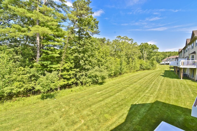 1785 Big Ridge Dr, East Stroudsburg, PA 18302 - view of green lawn