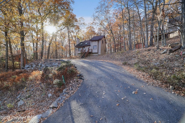 view of road featuring aphalt driveway