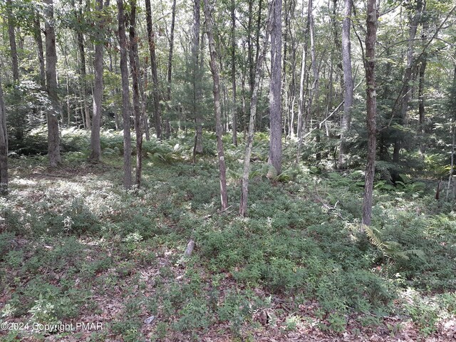 A141 Rosewood Dr, Jim Thorpe, PA 18229