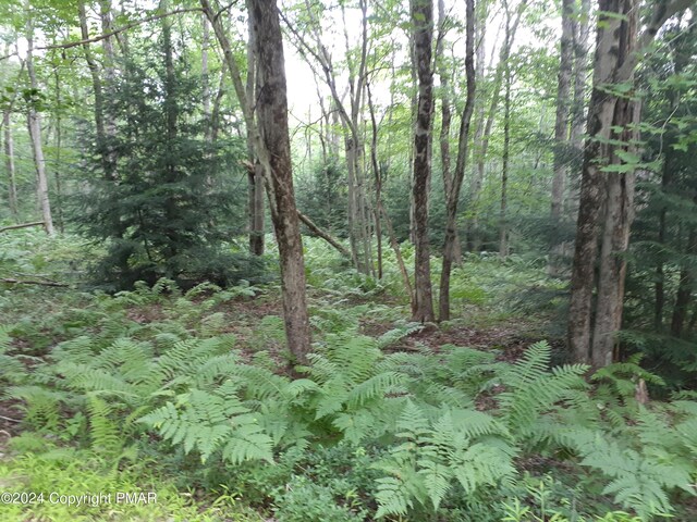 A141 Rosewood Dr, Jim Thorpe, PA 18229