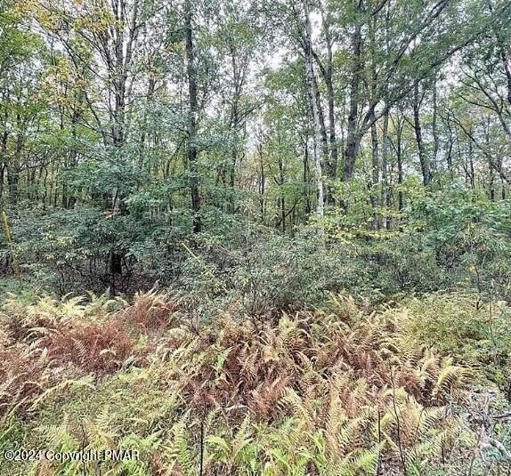 A141 Rosewood Dr, Jim Thorpe, PA 18229