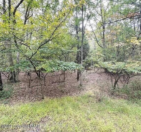 A141 Rosewood Dr, Jim Thorpe, PA 18229