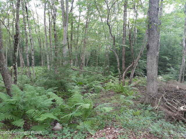 A141 Rosewood Dr, Jim Thorpe, PA 18229