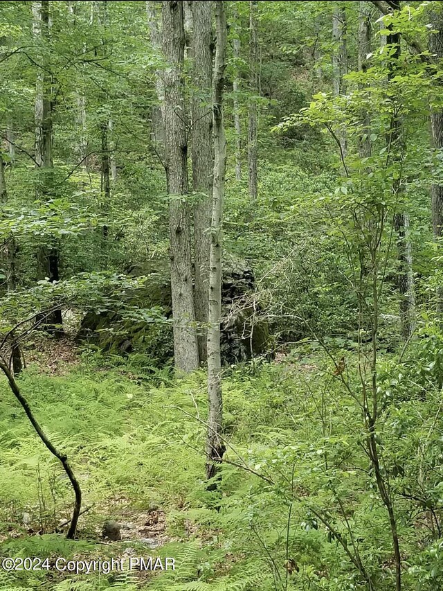 A141 Rosewood Dr, Jim Thorpe, PA 18229